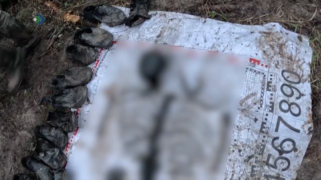 Хранители. 03.12.2025