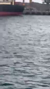 Момент сегодняшнего прилёта, предположительно БпЛА-камикадзе «Герань-2», по судну в порту Одессы.