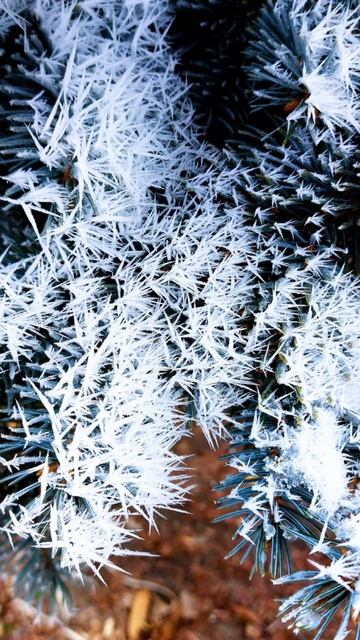 Вечер был сказочным 11 декабря