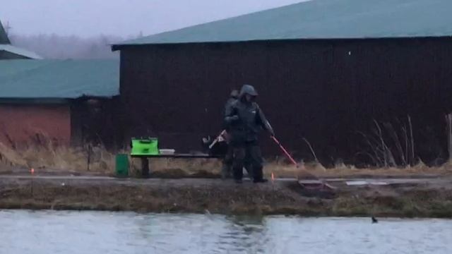 поимка на фидер