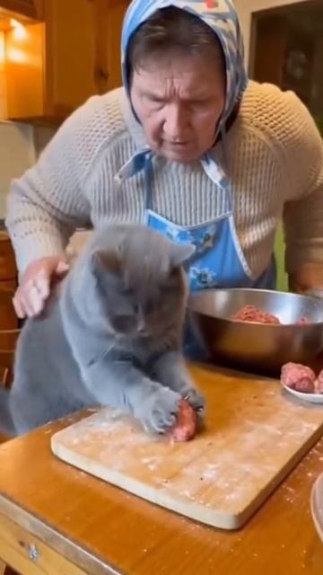 Бабушкин помощник