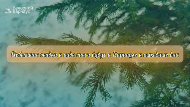 Небольшие осадки в виде снега будут в Барнауле в выходные дни