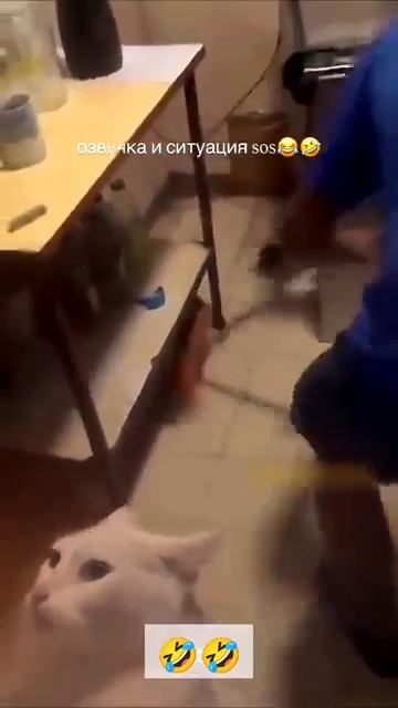 Гениальная озвучка