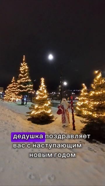 Здравствуй ёлка 🌲 новый год! С наступающим! #электрикмиллионер #юмор #елка #новыйгод