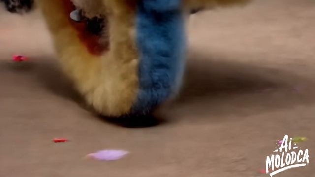 VID_20251212_090326_213.mp4