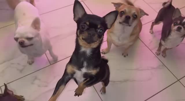 С утра перекусили с удовольствием колбаской.