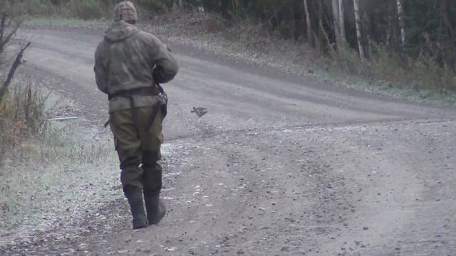 Скрадывание Рябчиков Охота 2025 ДИЧИ Тайга Сибирь Дичь Рябчик Сухопит2909 Максим