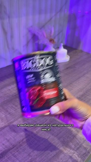 Шпиц Фенди и влажный корм для собак Big dog Premium говядина 850 гр