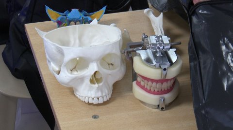 В Рязани презентовали приложение для изучения анатомии