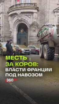 Навоз летит в сторону властей Франции: аграрии отомстили за смерь коров