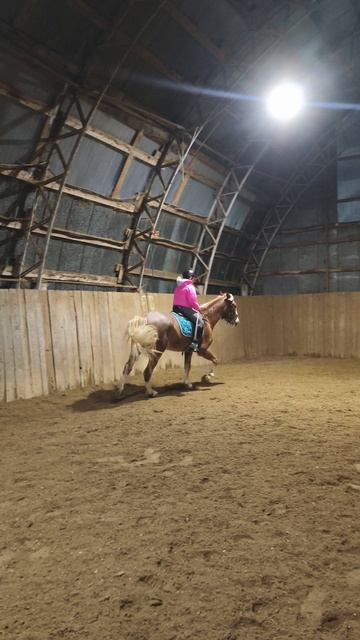 Ульяна и Каспер, галоп в манеже по стенке.