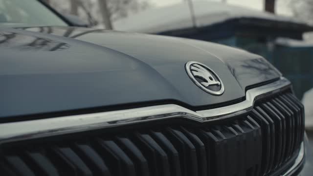 Skoda экскурсия по Барнаулу
