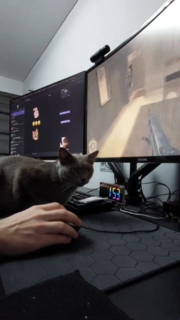 video_2025-12-12_15-38-42