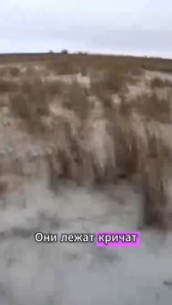 Русские в беде никого не бросают!