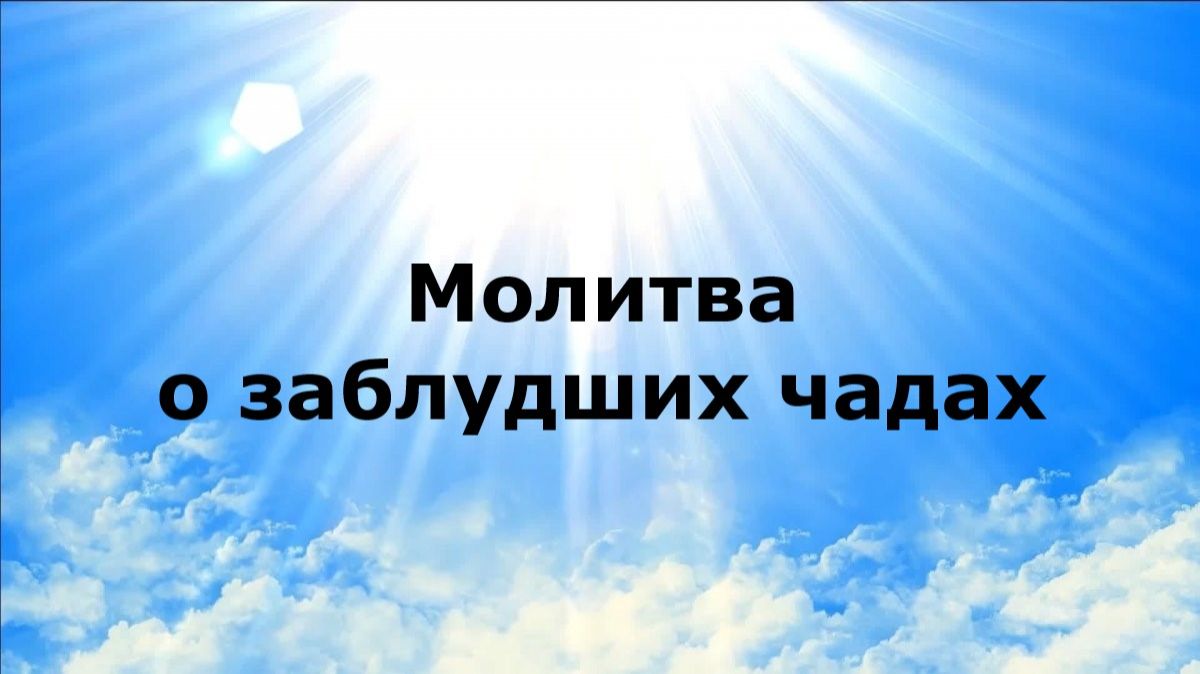 МОЛИТВА О ЗАБЛУДШИХ ЧАДАХ #наянабелосвет