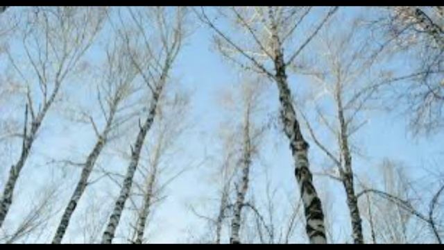 14 декабря - Наум на ум. Народные приметы и традиции