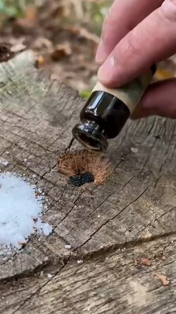 VID_20251213_232658_967.mp4