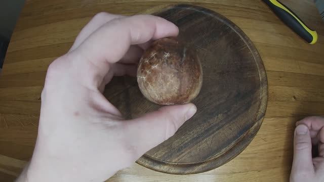 Как прорастить авокадо. Как прорастить косточку от авокадо.