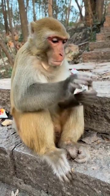 Ну и зачем ты так сделал?!