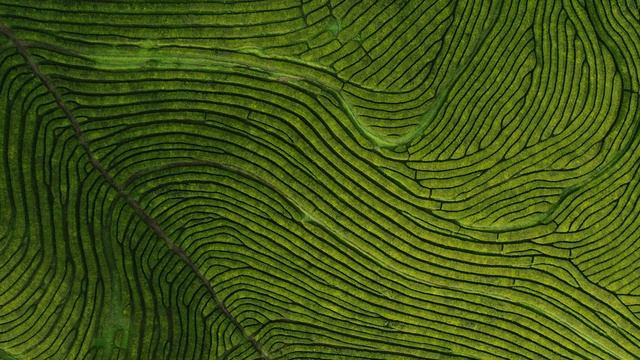 Красоты природы и замечательные кадры снятые на DJI Mavic 4 Pro