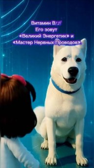 Почему в выходной так важна яичница или творог?
Спросите у «витамина бодрых связей»!