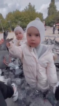 Видео от Залипательные, прикольные видеоролики бесплатно