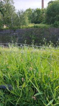 Парк Патриот. Разворотный бассейн. Часть 2