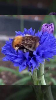 VID_20251213_232810_391.mp4