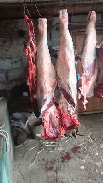 немного мяса