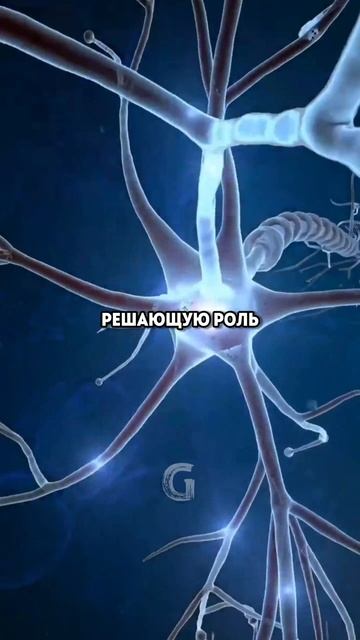 Нобелевская премия по медицине в этом году, трое учёных которые сделали важные открытия!