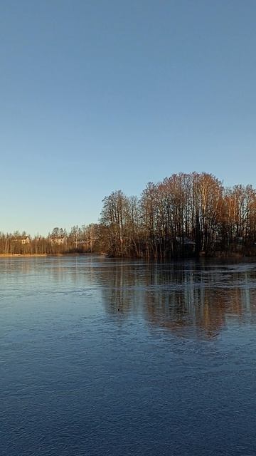 Что будет если кинуть камень на лëд