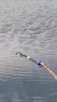 РЫБАЛКА НА ЩУКУ