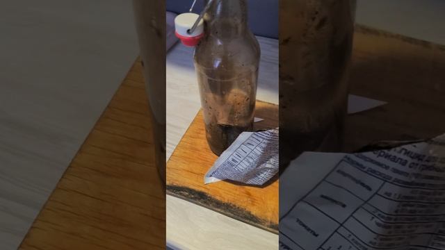 Посев эустомы в декабре 2025