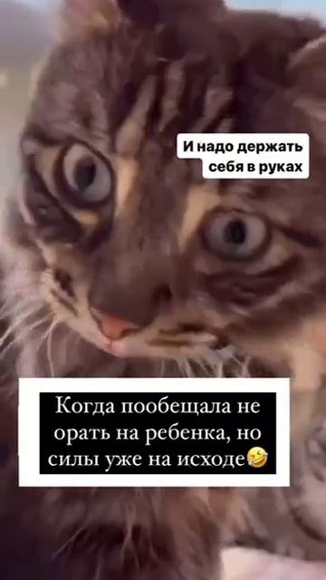 Дала слово - держи!🤣