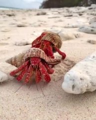 Подпишись 👉 https://kamennyi-zver.ru/