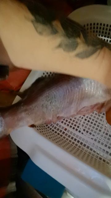 VID_20251212_231420.mp4