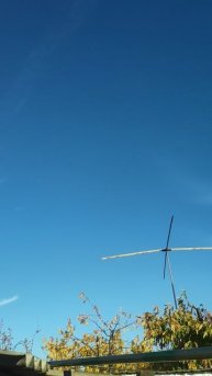 VID_20251104_090340.mp4