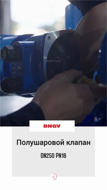 DN250 PN16 Полушаровой клапан-BNGV