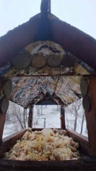 1000006318.mp4Жизнь кормушки.13.12.2025г.