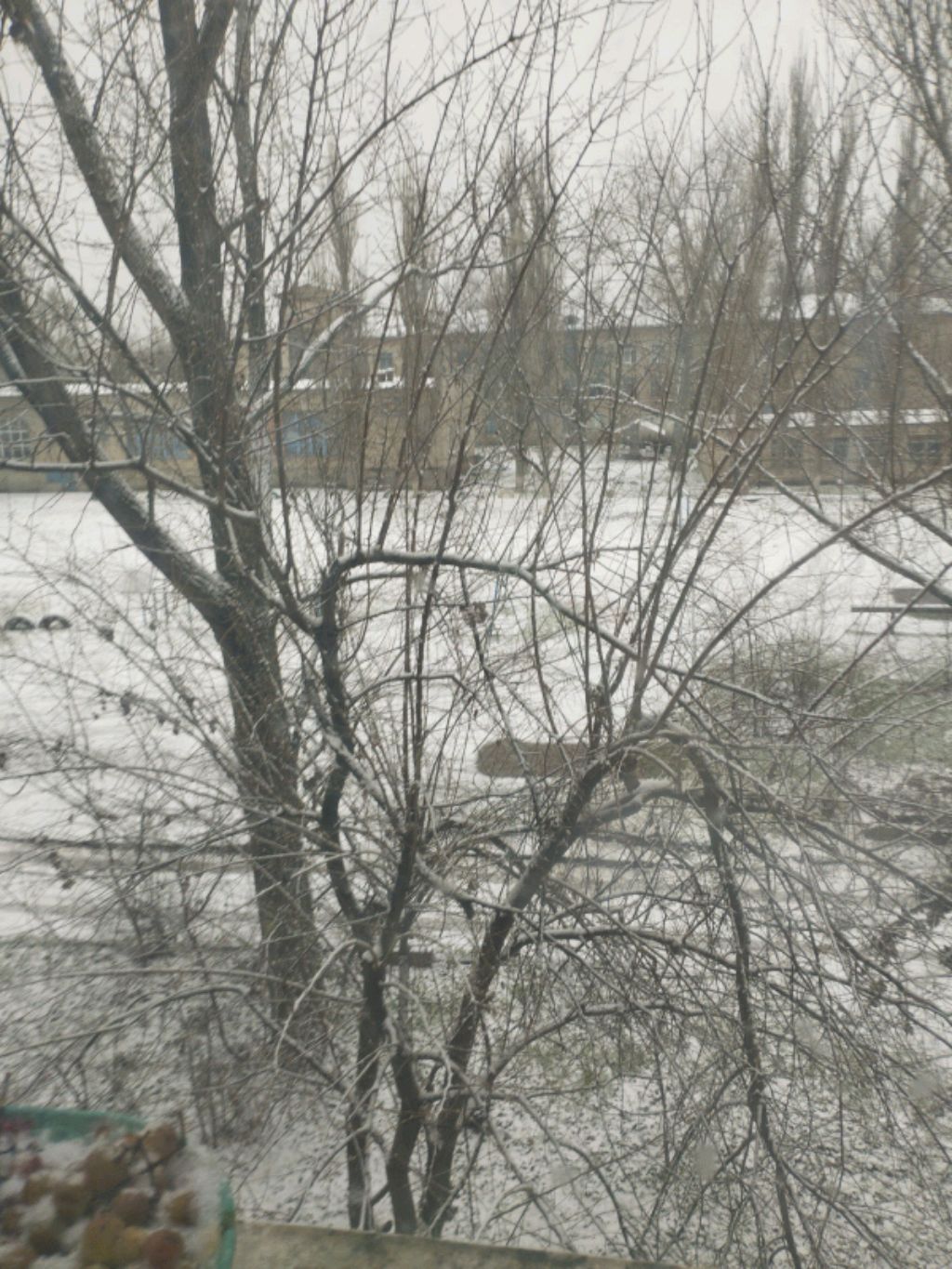 мой день с вами