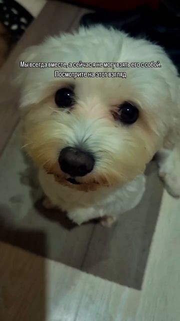 Не в этот раз