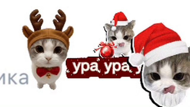 ура ура ура