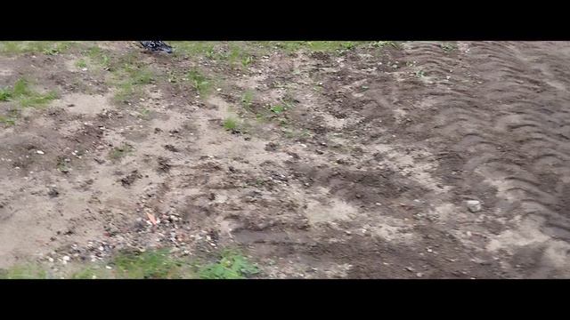 Мы идём гулять с собакой! | 13-авг-2024, 3