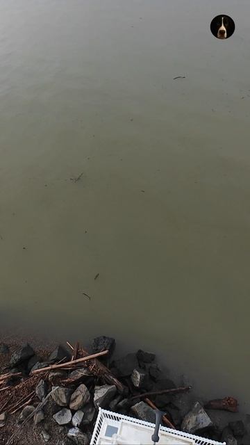 Маяк Браунс-Пойнт — залив Комменсмент