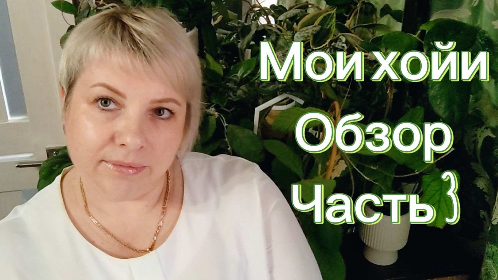 Мои хойи | Обзор коллекции | Часть 3