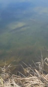 РЫБАЛКА ПО НОВОМУ