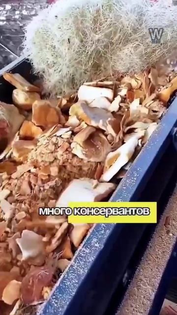 Секрет лапши быстрого приготовления, о котором молчат!