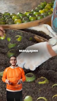 Вы точно пили чай