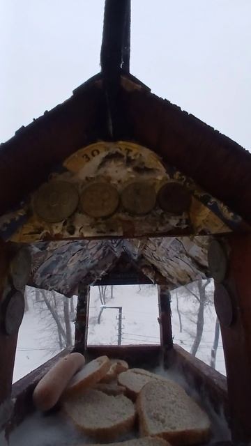 1000006361.mp4Жизнь кормушки.13.12.2025г.