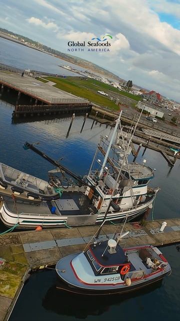 ❄️ Зимний причал — Эверетт после лососёвого сезона ❄️